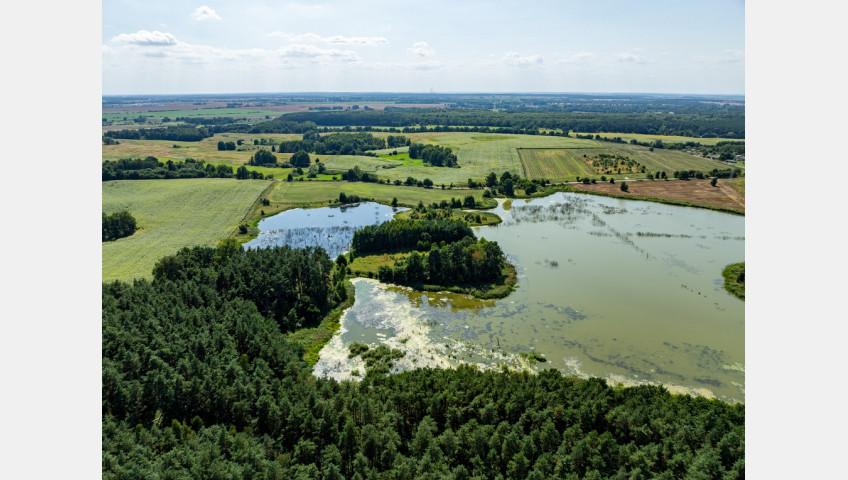 Działka Sprzedaż Binowo