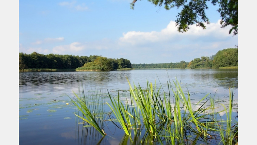 Działka Sprzedaż Warnice