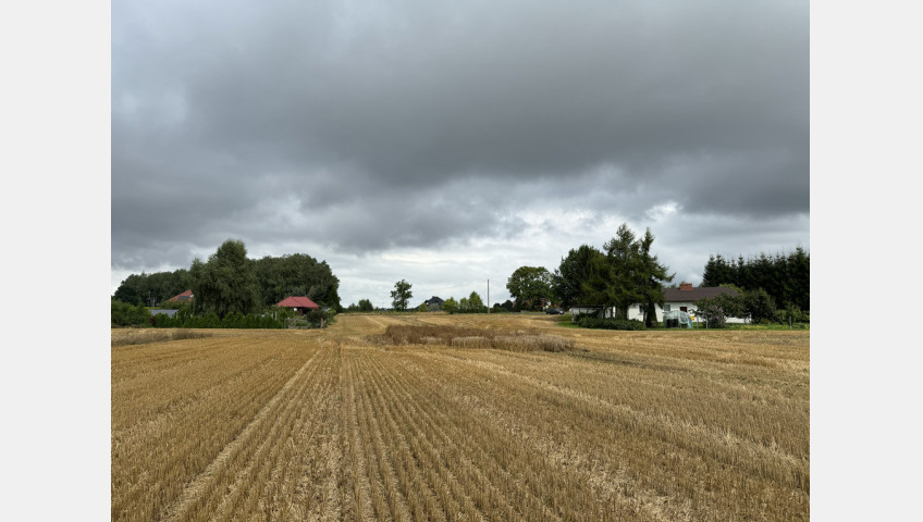 Działka Sprzedaż Kolonia Maszewo