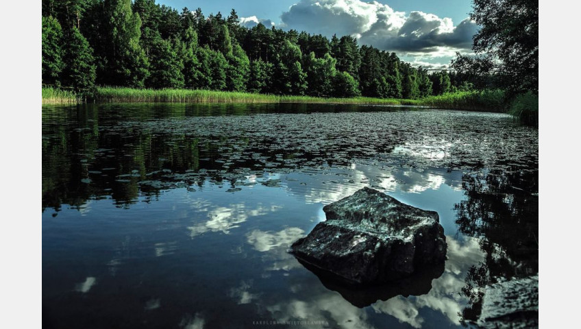 Działka Sprzedaż Byszyno