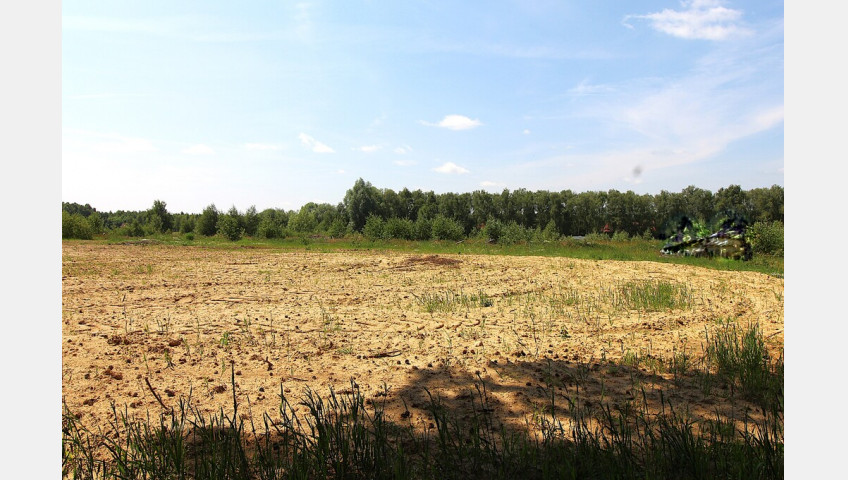 Działka Sprzedaż Grabowo