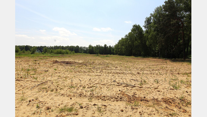 Działka Sprzedaż Grabowo