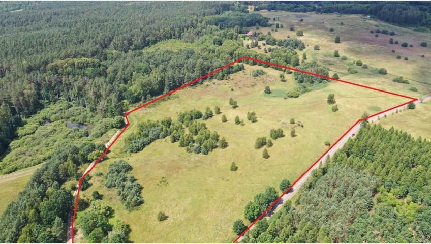 Działka Sprzedaż Gronowo