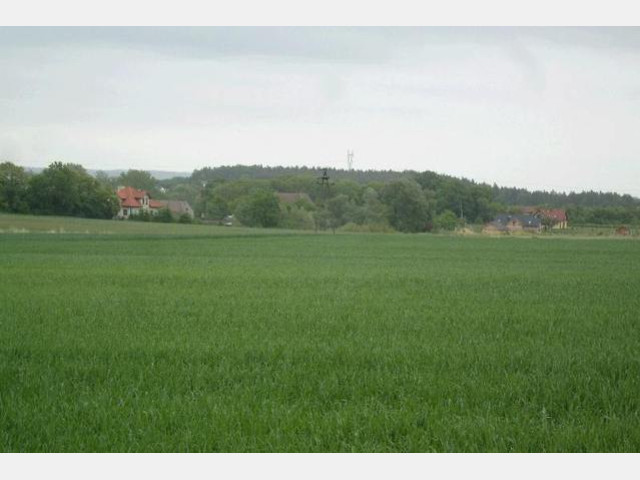Działka Sprzedaż Siadło Górne