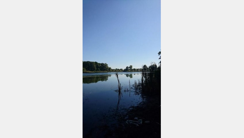 Działka Sprzedaż Radzanek