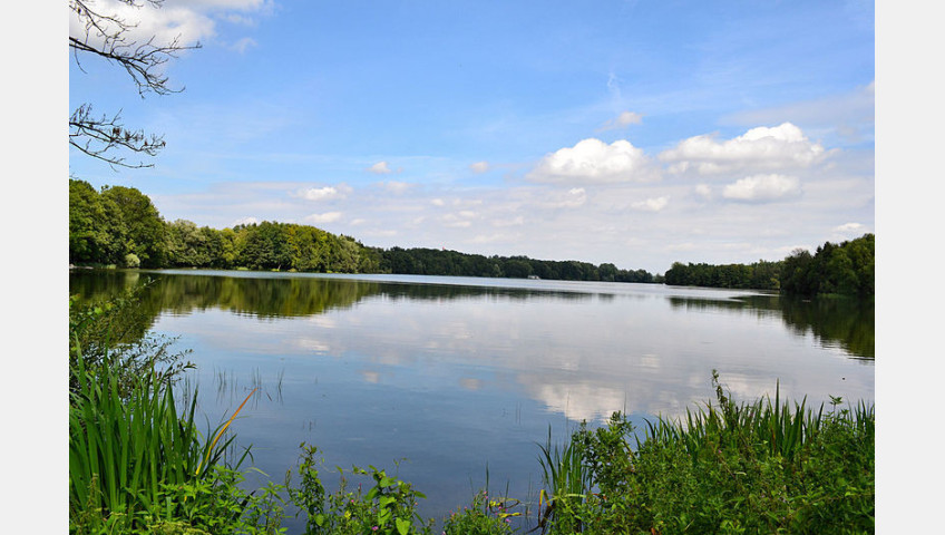 Działka Sprzedaż Czaplinek