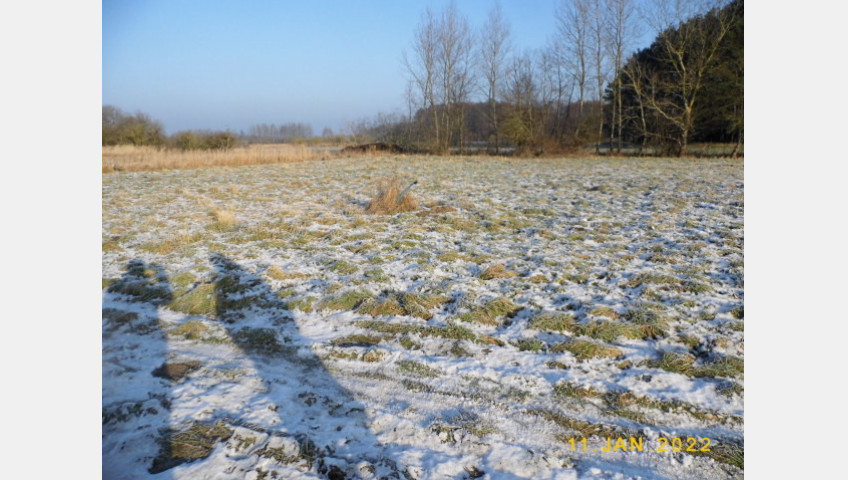 Działka Sprzedaż Brzózki