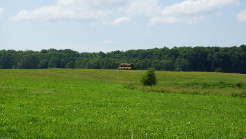 Działka Sprzedaż Bobolice