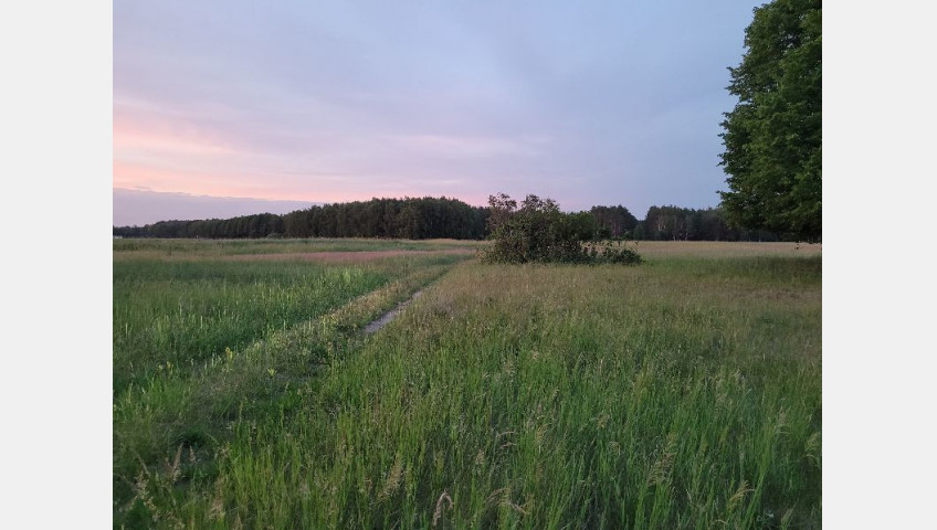 Działka Sprzedaż Lubczyna