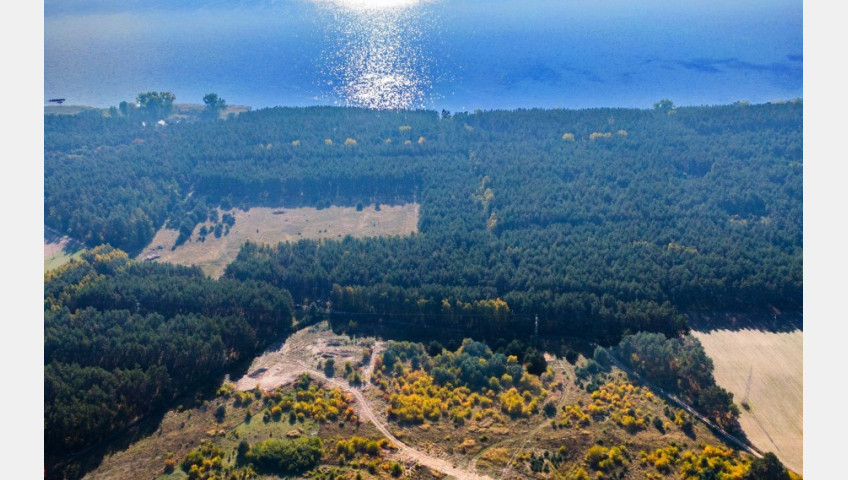 Działka Sprzedaż Dargobądz