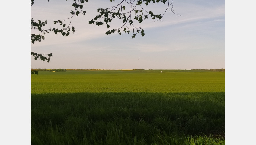 Działka Sprzedaż Bielkowo Sadowa