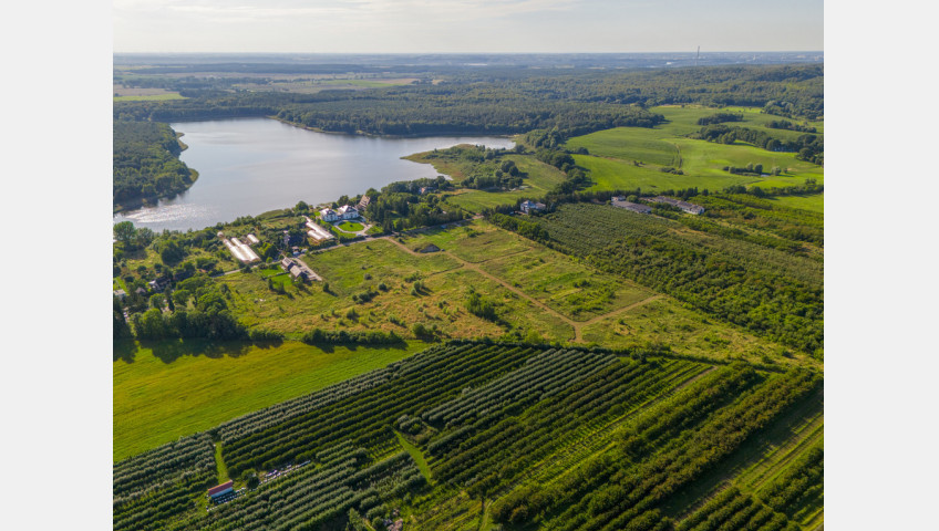 Działka Sprzedaż Binowo