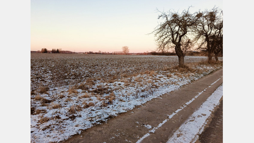 Działka Sprzedaż Żabówko