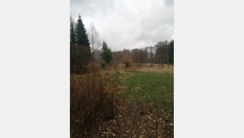Działka Sprzedaż Stawno