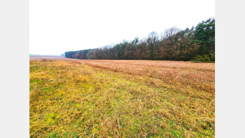 Działka Sprzedaż Żarowo Polna