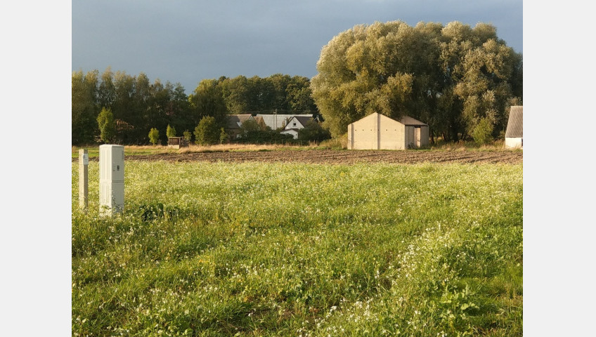 Działka Sprzedaż Sierosław