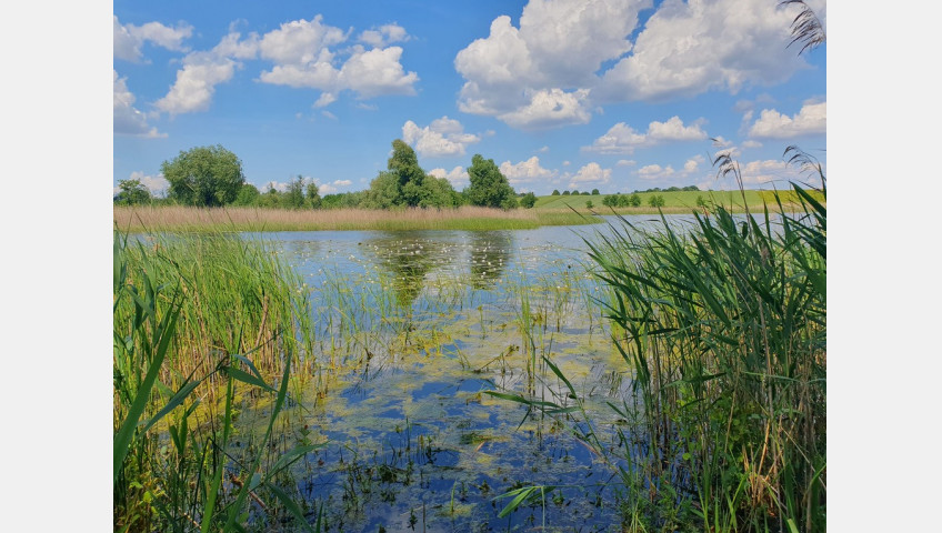 Działka Sprzedaż Zieleniewo