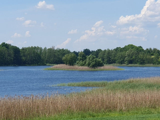 Działka Sprzedaż Zieleniewo