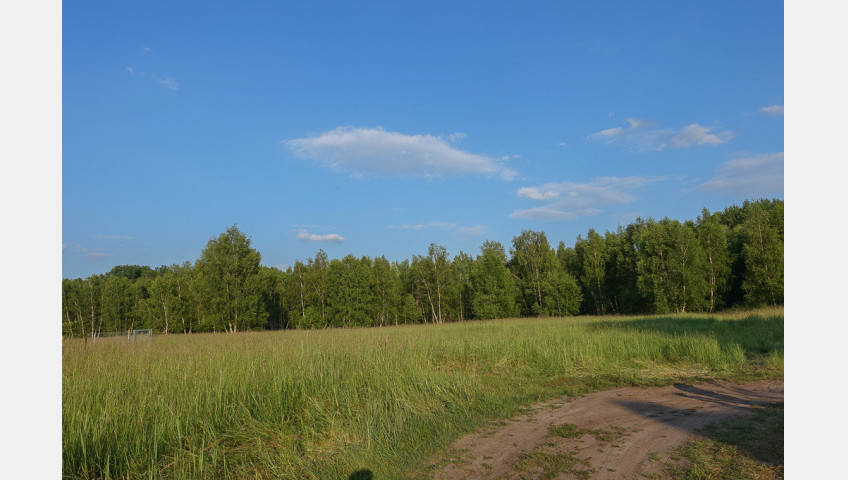 Działka Sprzedaż Grzepnica