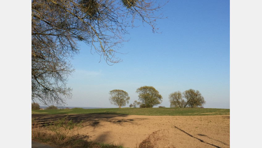 Działka Sprzedaż Szczecin Skolwin