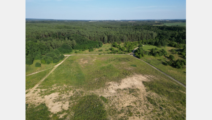 Działka Sprzedaż Daleszewo