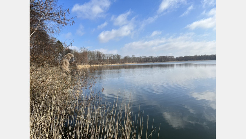 Działka Sprzedaż Choszczno